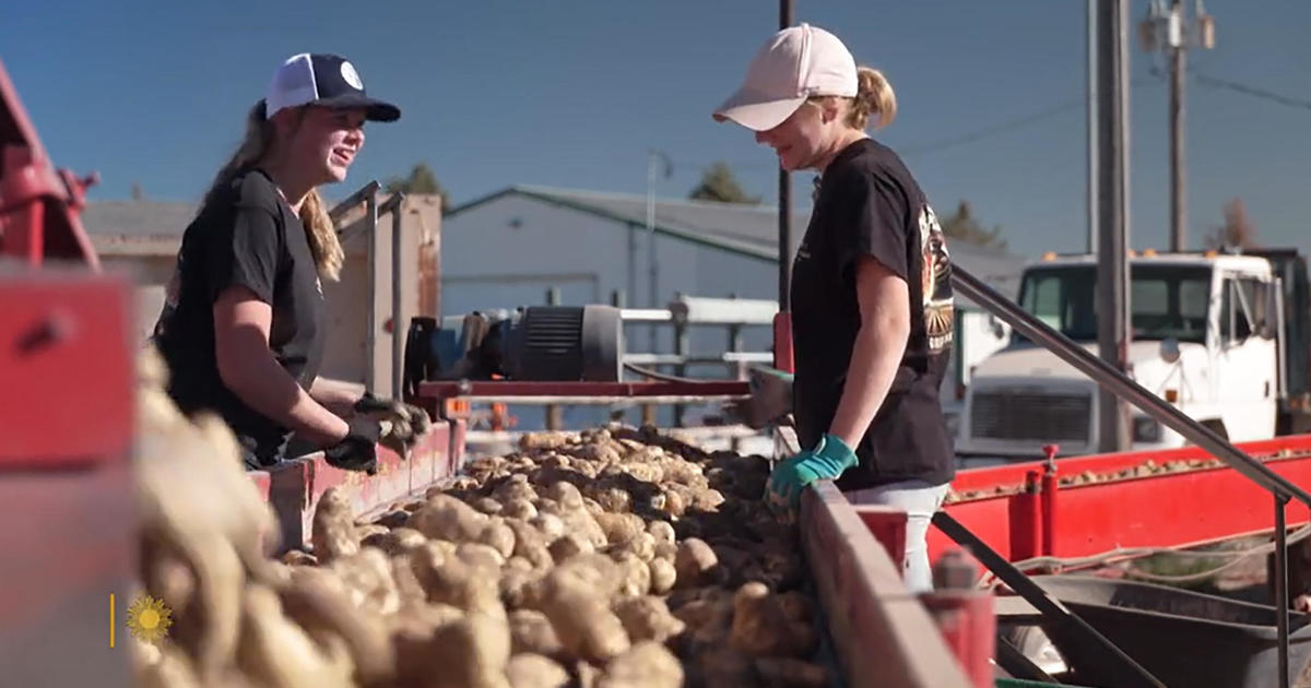 idaho-potato-harvest