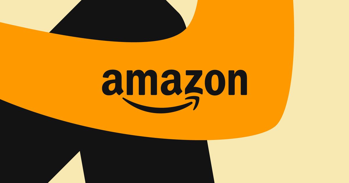 amazon-dei-programs-future