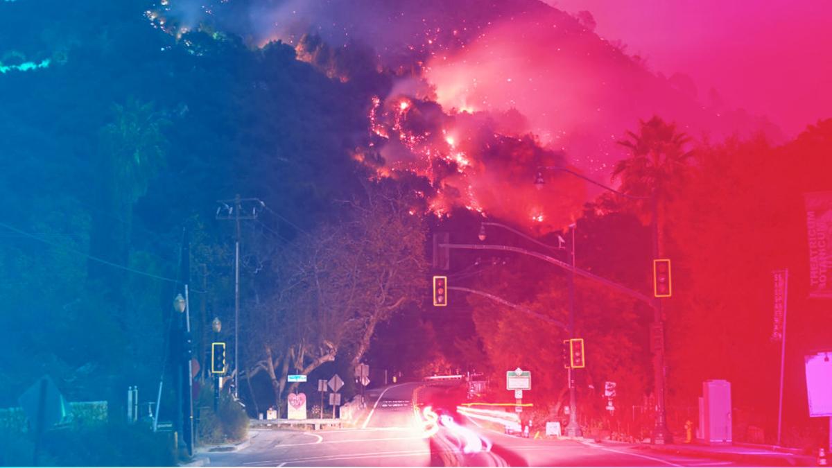 beauty-brands-los-angeles-wildfires