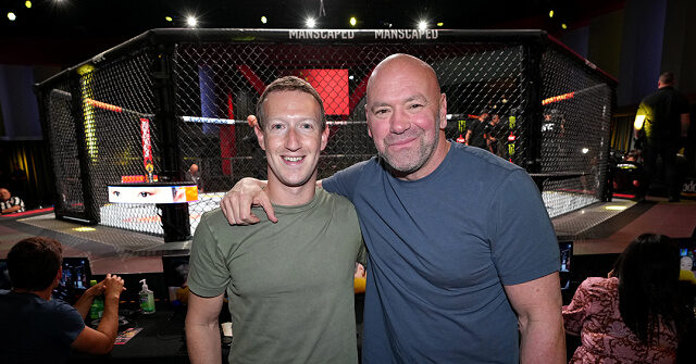 dana-white-meta-board