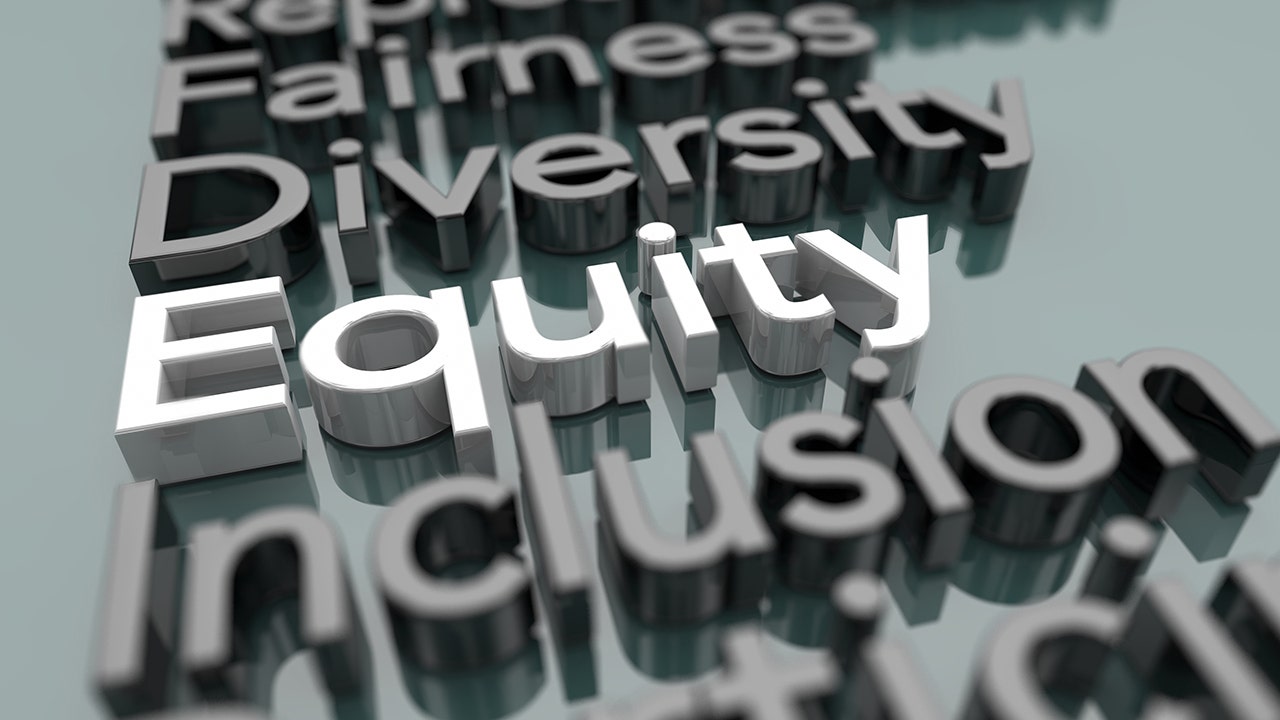 esg-dei-debate-tech-leaders