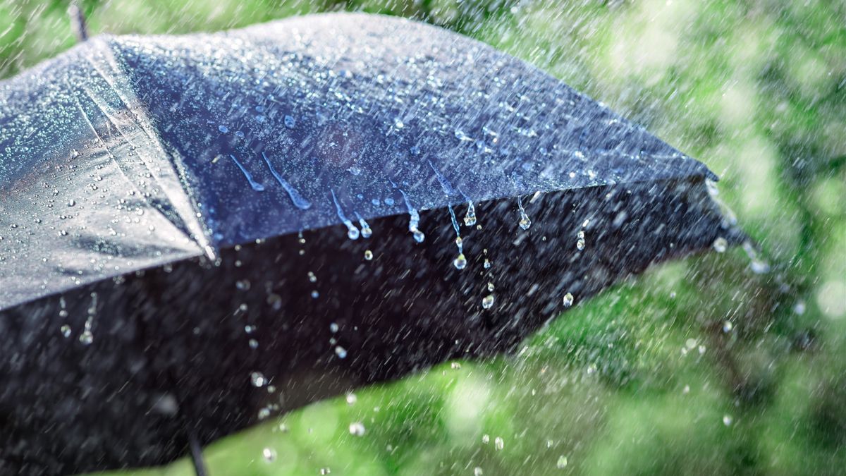 home-insurance-claims-storm-eowyn
