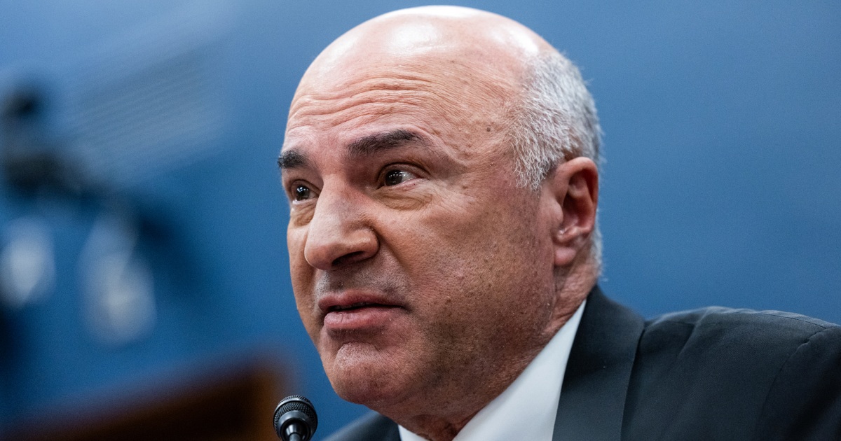 kevin-oleary-frank-mccourt-tiktok-bid