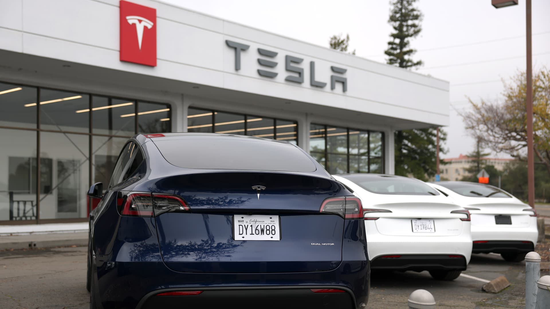 tesla-brand-value-decline-2024