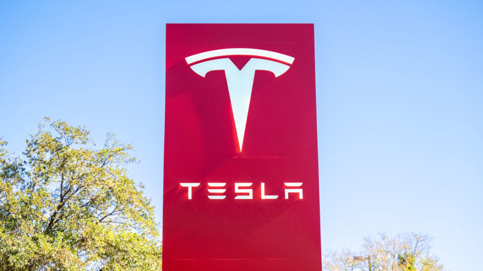 tesla-china-sales-2024