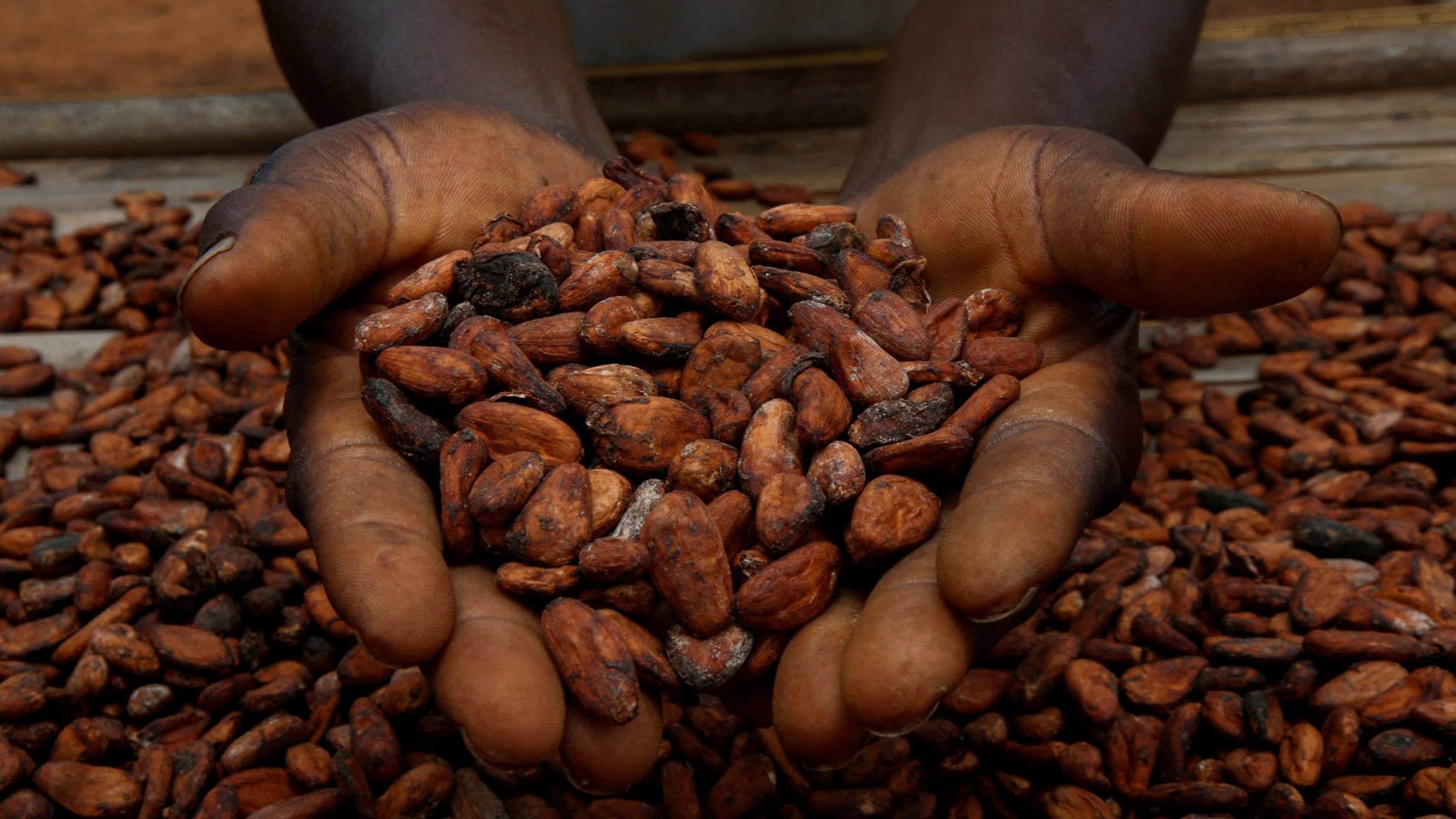 cocoa-stockpiles-historic-lows