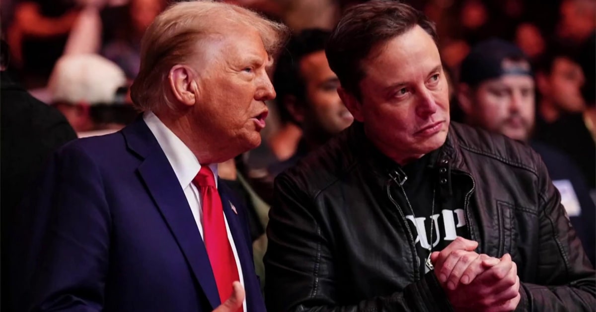 trump-musk-mass-firings-interview