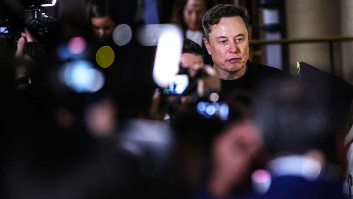 elon-musk-doge-tesla-ventures