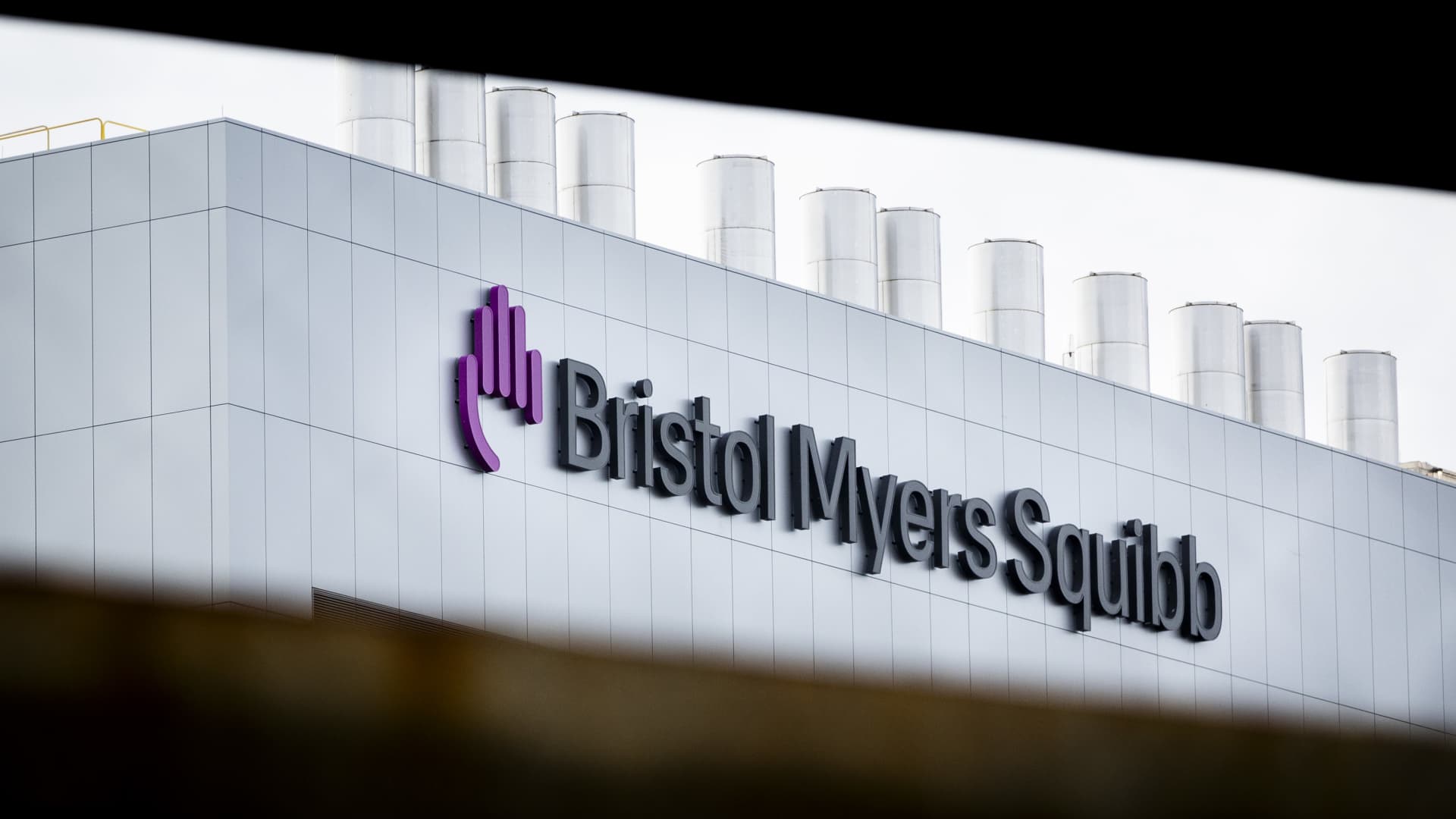 bristol-myers-squibb-quarterly-estimates
