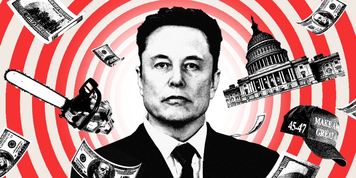 elon-musk-doge-strategy