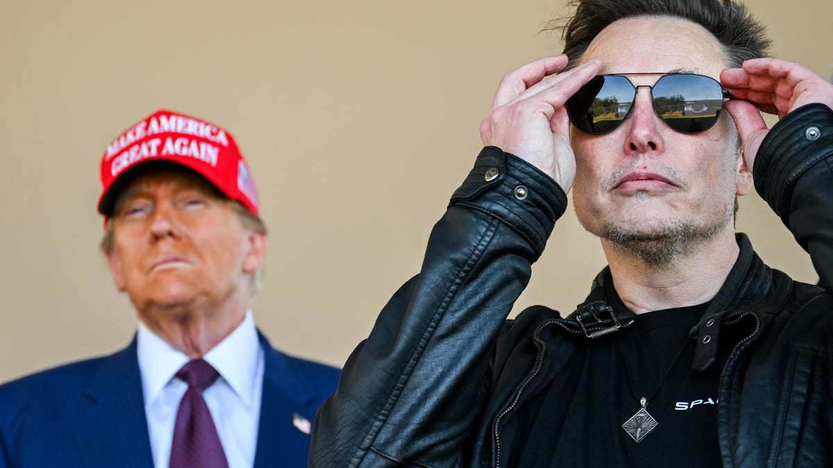 elon-musk-doge-tesla-pivotal-shift