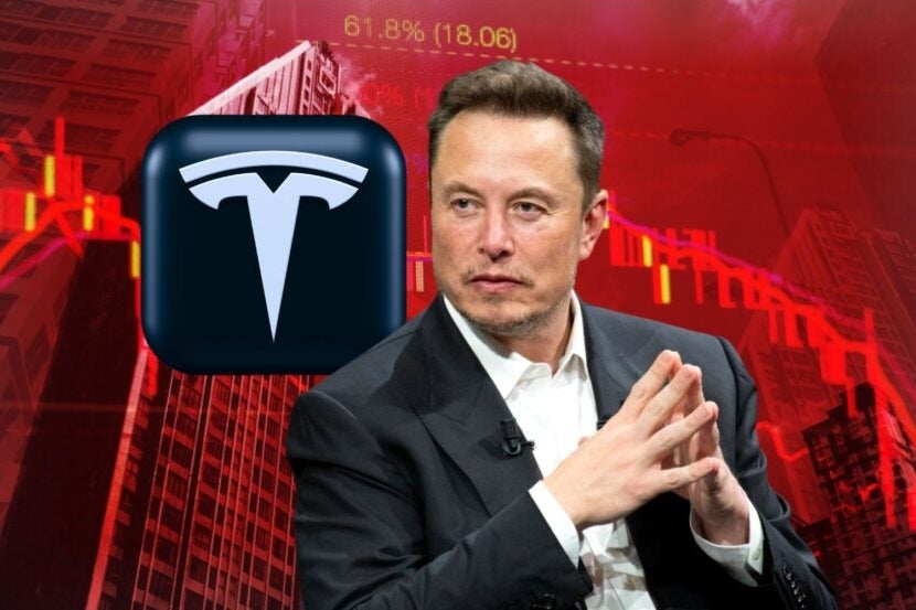 elon-musk-tesla-protesters-government-waste