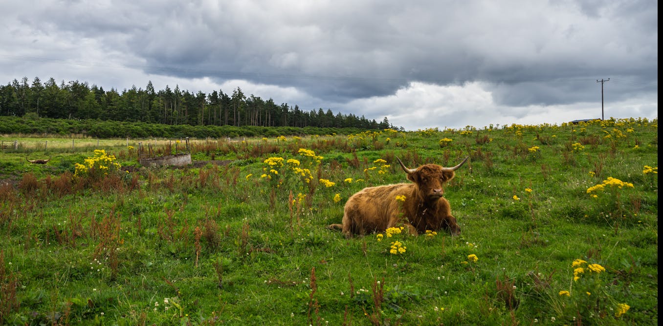 inheritance-tax-benefits-farmers