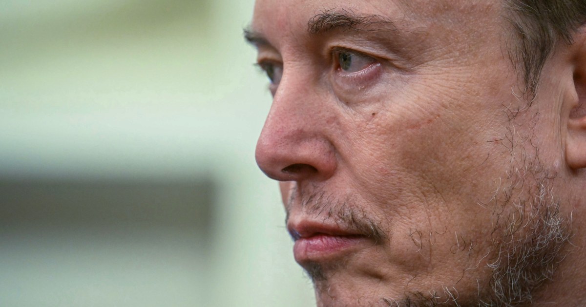 government-efficiency-elon-musk
