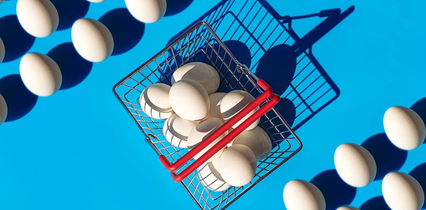nonprofit-media-diversification-challenges