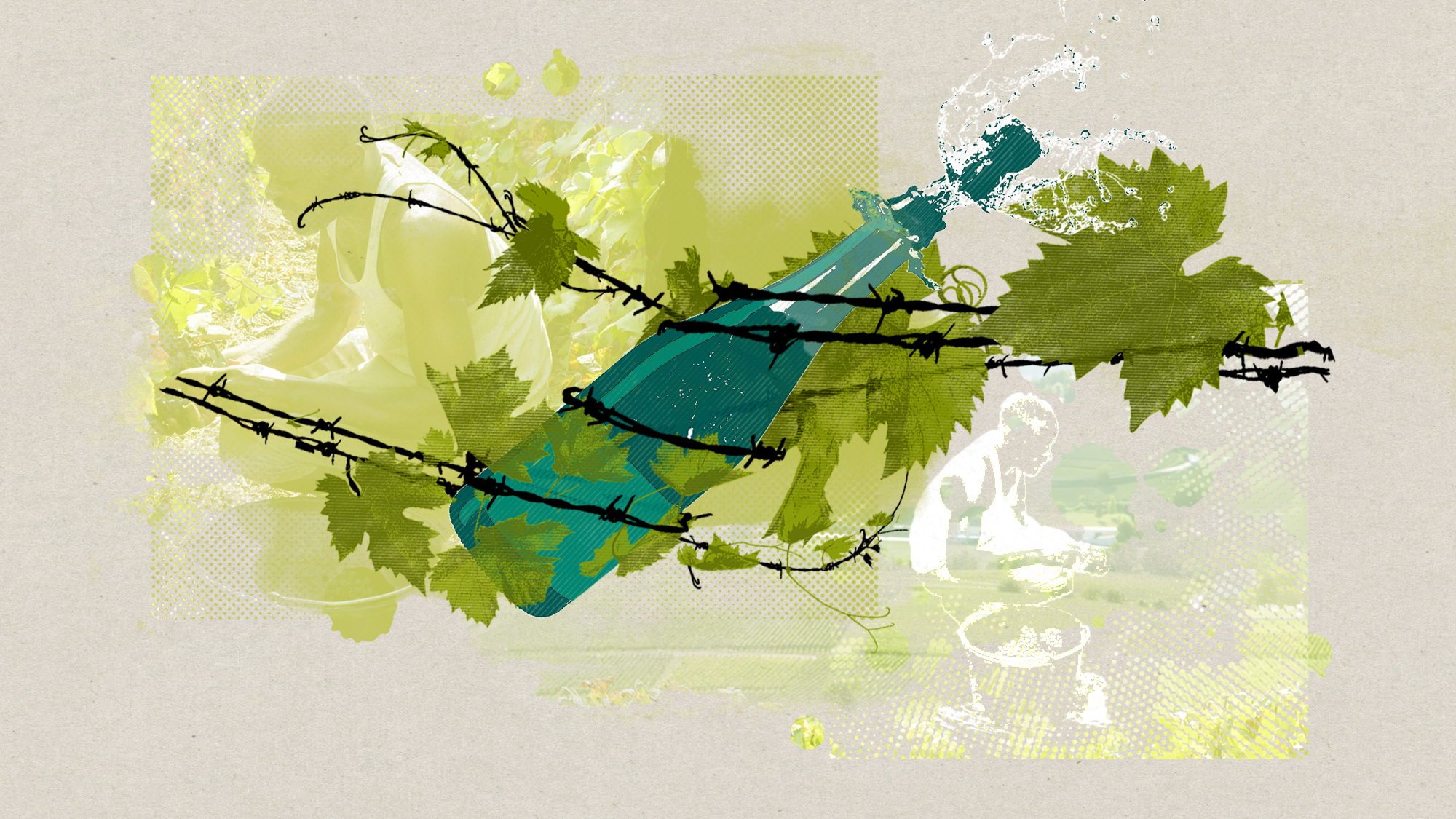 migrant-workers-vineyard-exploitation