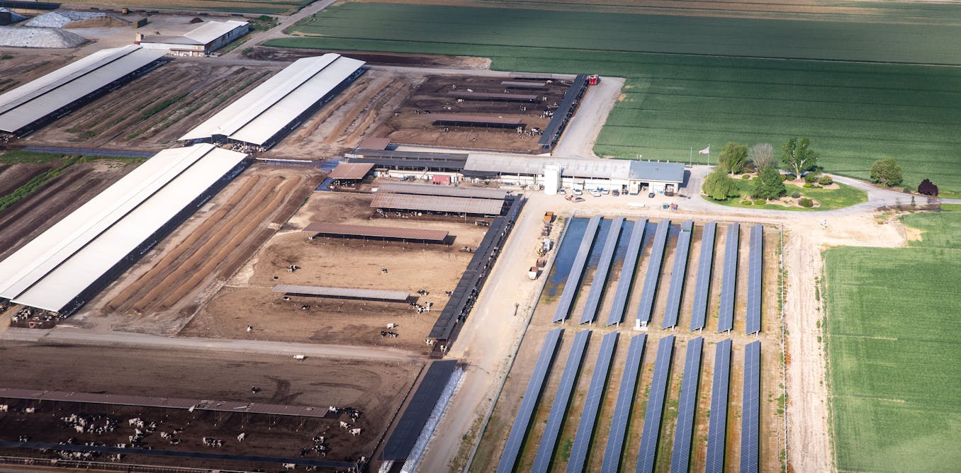 solar-power-california-farmers